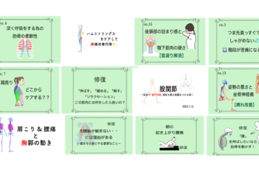 施術例｜膝の痛みと肩の張りに対する見立てと改善プロセスー2回目だからこそわかったことー